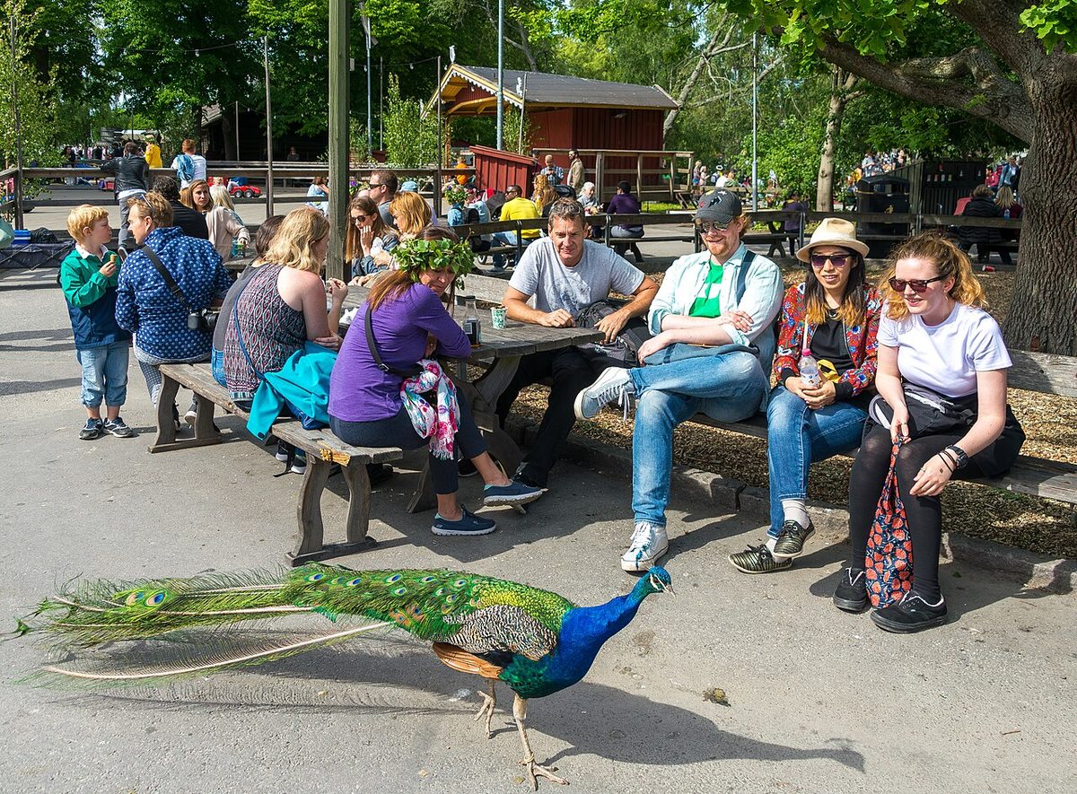 Photo de Skansen